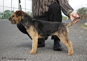 10 měsíců / 10 months old