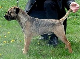 14 měsíců / 14 months old