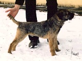 12 měsíců / 12 months old