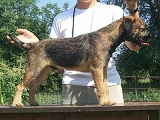 8 měsíců / 8 months old
