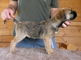 2 měsíce / 2 months old