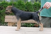4 měsíce /4 months old