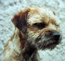2 roky / 2 yers old