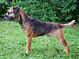 Aerowsmith Fleret Moravia